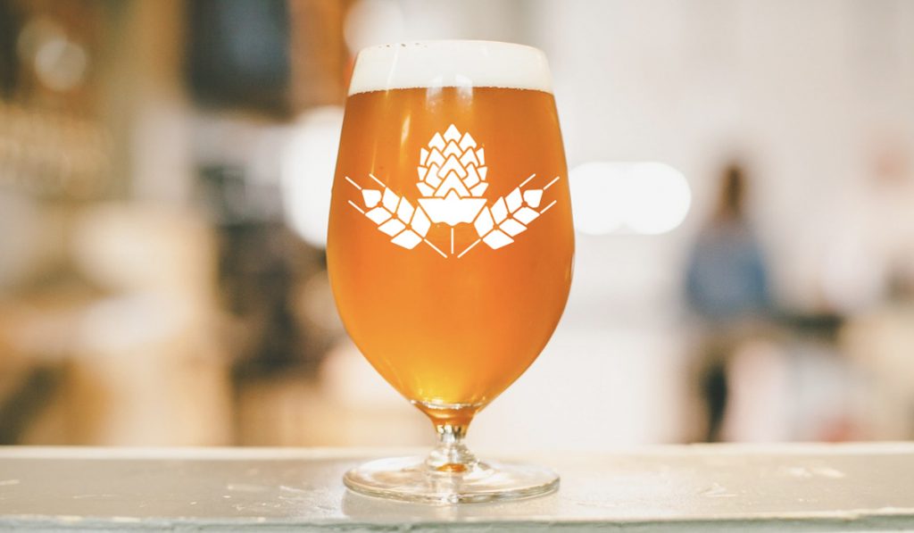 Besserbrauer Bierbrausets