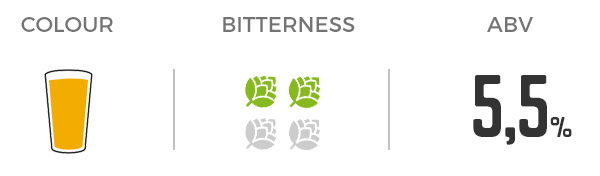 Besserbrauer Bierbrausets