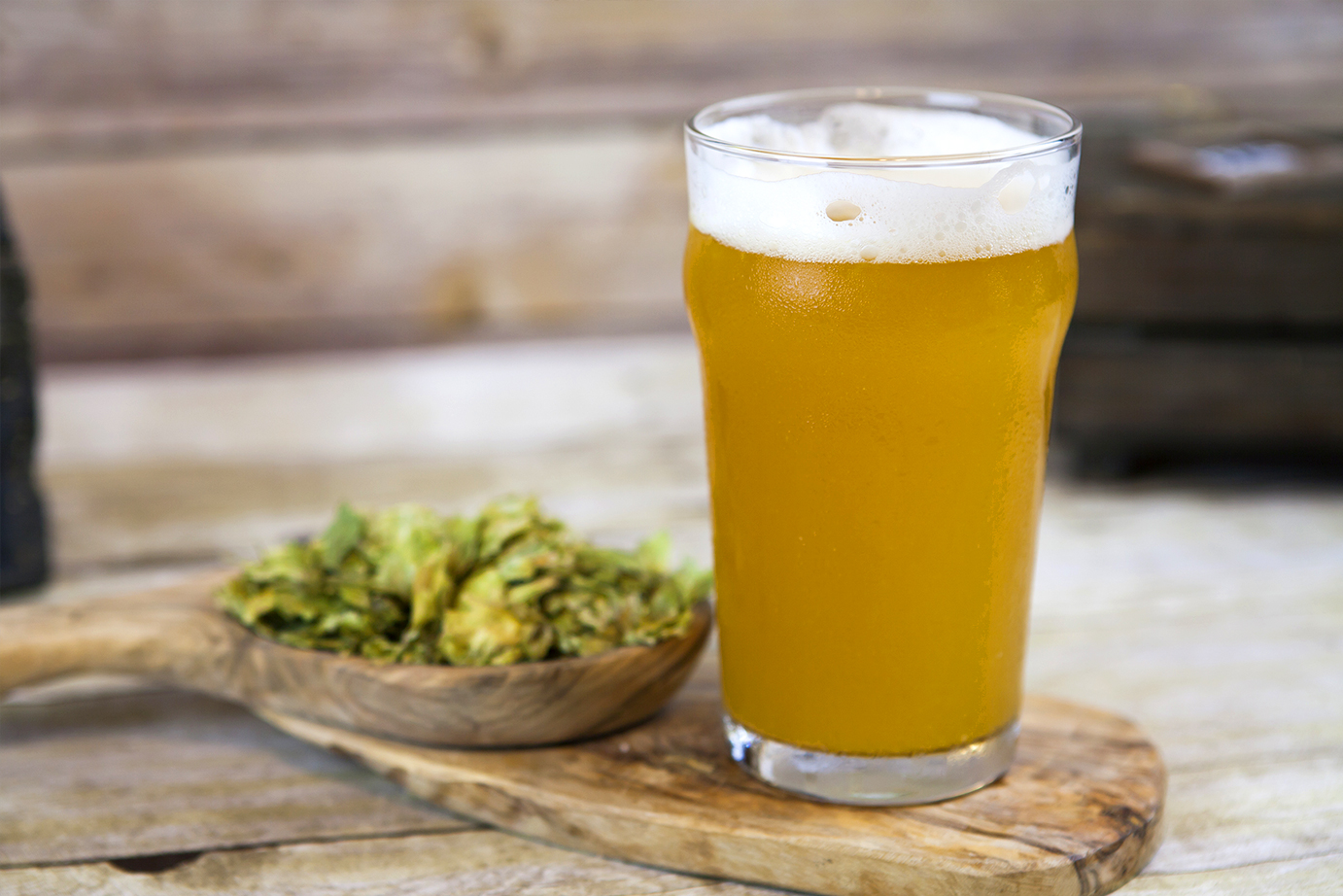 bier – Besserbrauer Bierbrausets