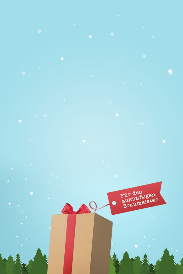 Besserbrauer Bierbrausets