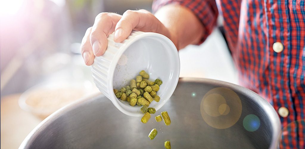 Besserbrauer Bierbrausets