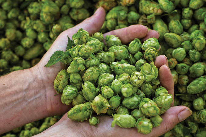 Besserbrauer Bierbrausets