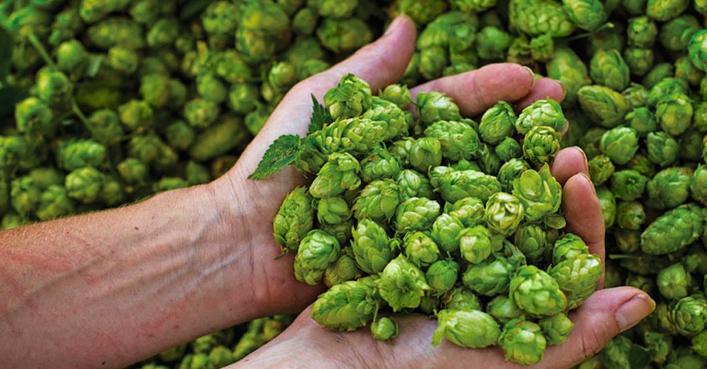 Besserbrauer Bierbrausets