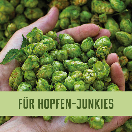 Besserbrauer Bierbrausets
