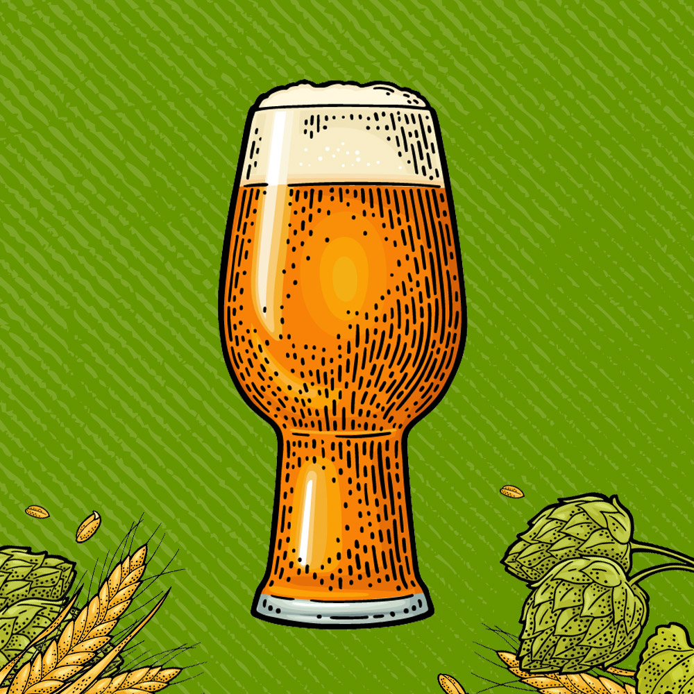 Besserbrauer Bierbrausets