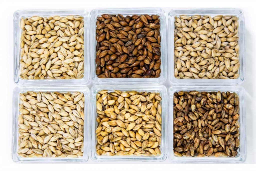 Besserbrauer Bierbrausets