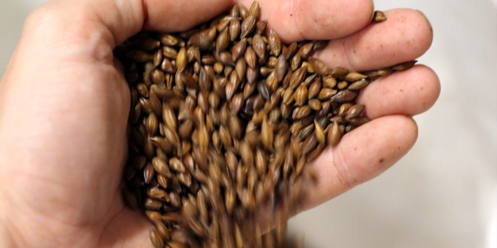 Besserbrauer Bierbrausets