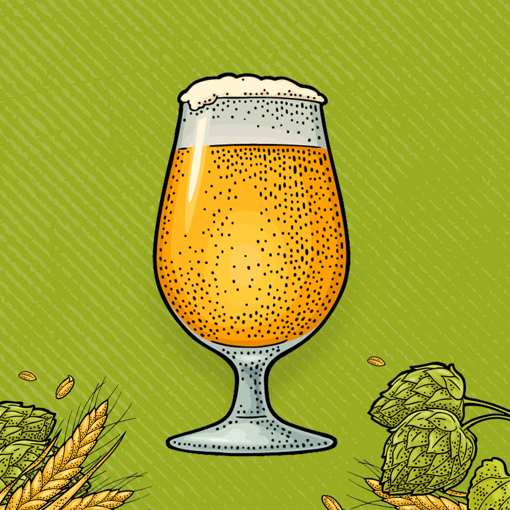 Besserbrauer Bierbrausets