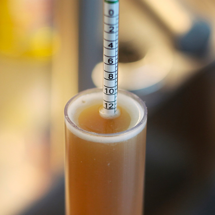 Besserbrauer Bierbrausets