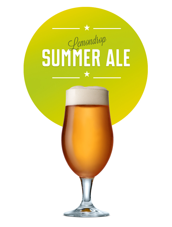 Besserbrauer Bierbrausets